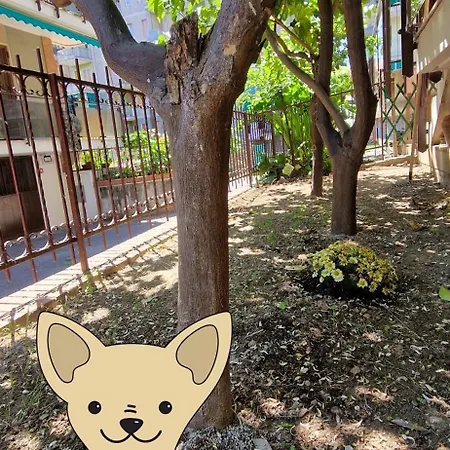 公寓 Alis 100 Mt Dal Mare *