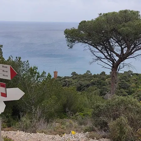 Alis 100 Mt Dal Mare * 洛阿诺