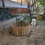 Alis 100 Mt Dal Mare Διαμέρισμα *