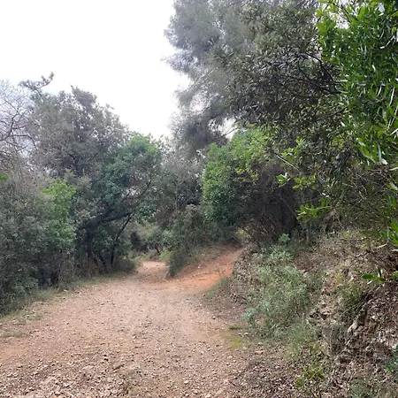 Alis 100 Mt Dal Mare Loano