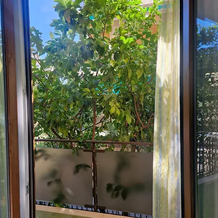 Alis 100 Mt Dal Mare