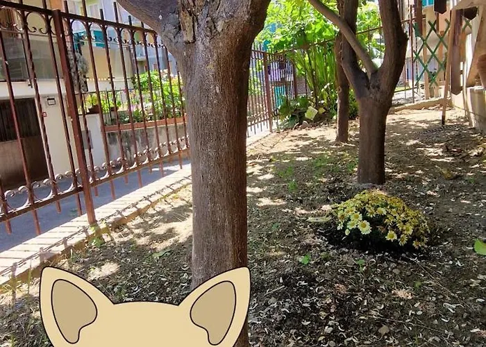 Διαμέρισμα Alis 100 Mt Dal Mare *