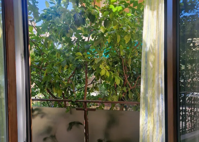 Alis 100 Mt Dal Mare