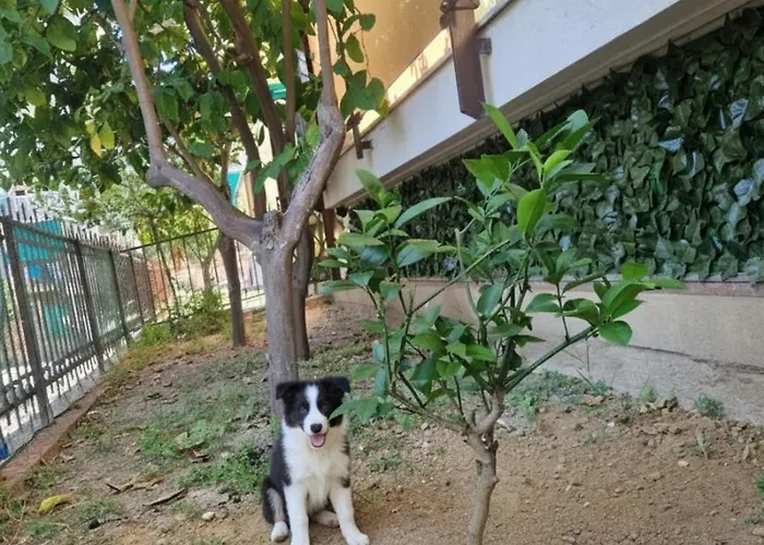 Alis 100 Mt Dal Mare